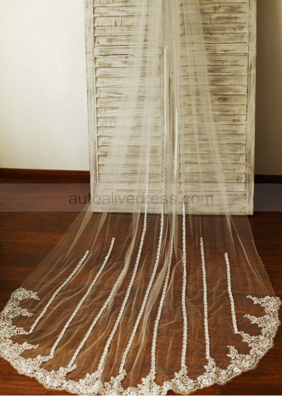 Beautiful Simple Lace Tulle Veil 